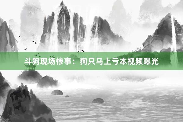 斗狗现场惨事：狗只马上亏本视频曝光